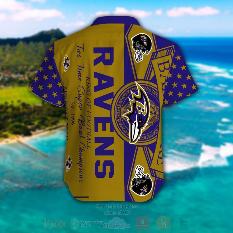 NFL Baltimore Ravens Men Woman Hawaiian Shirt Short 1 2 3 4