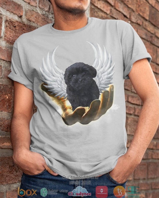 Shoodle Golden Hand Heaven Wings 2d shirt hoodie 1