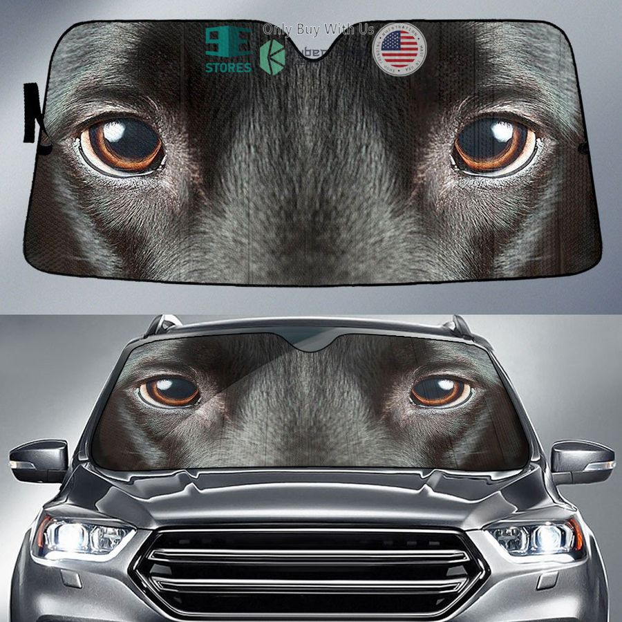 black labrador eyes car sun shade 1 19117