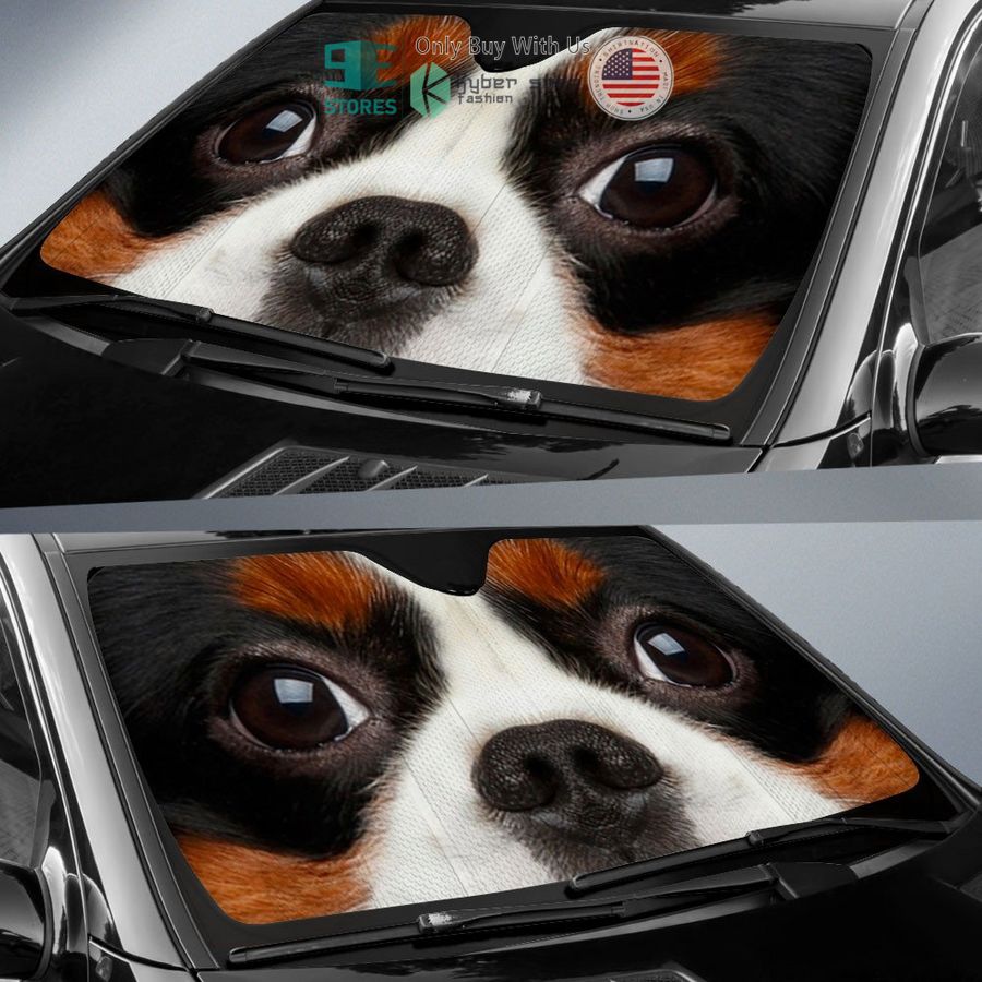 cavalier king charles spaniel dog eyes car sun shade 2 72578