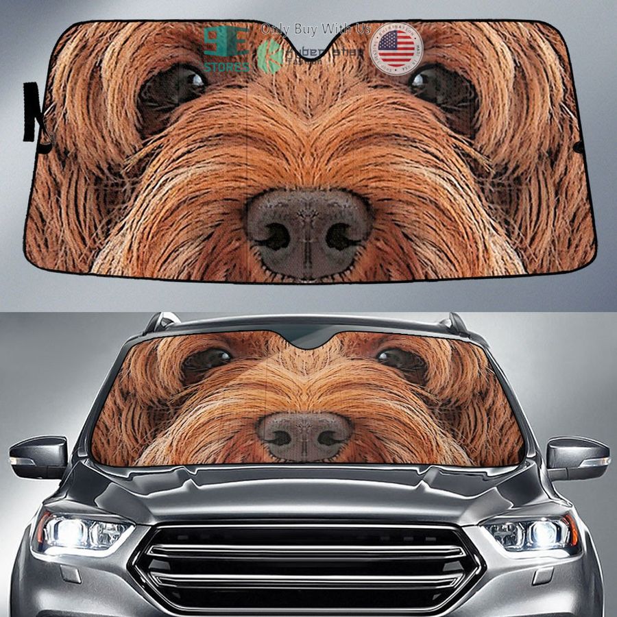 labradoodle eyes car sun shade 1 45322