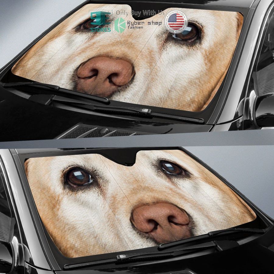 labrador retriever eyes car sun shade 2 31888