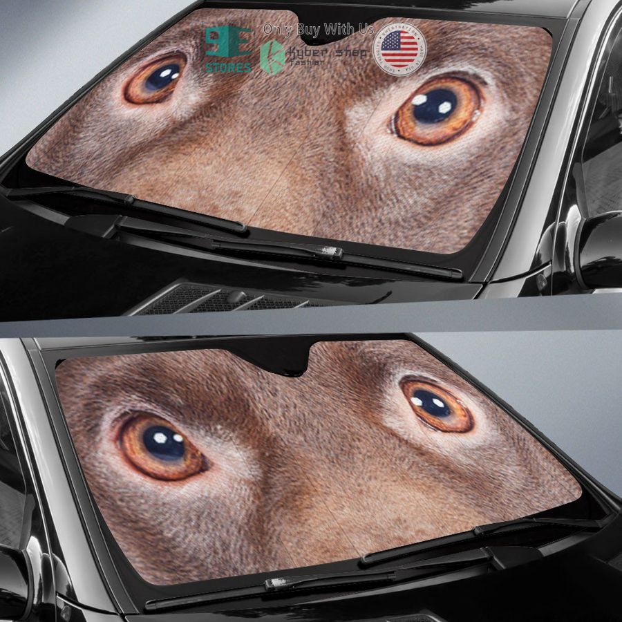 patterdale terrier eyes car sun shade 2 74796