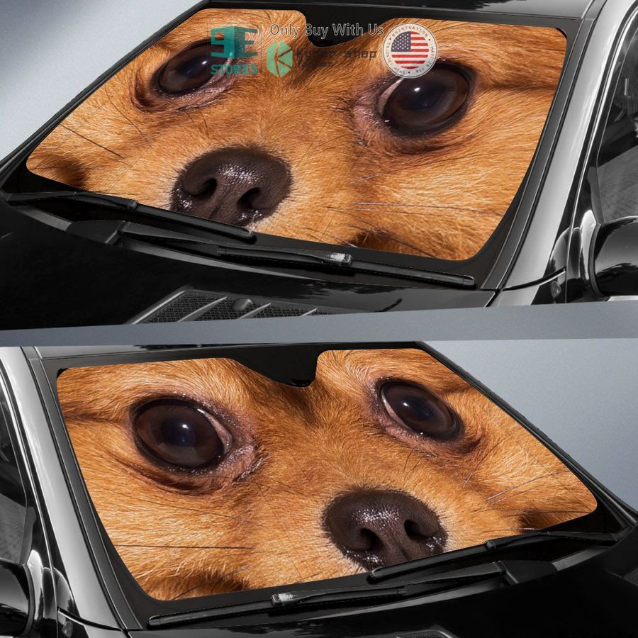 pomeranian eyes car sun shade 2 95153