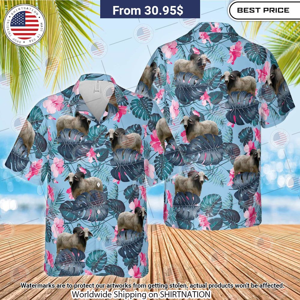 Brahman Blue Hibiscus Hawaiian Shirt My friends!