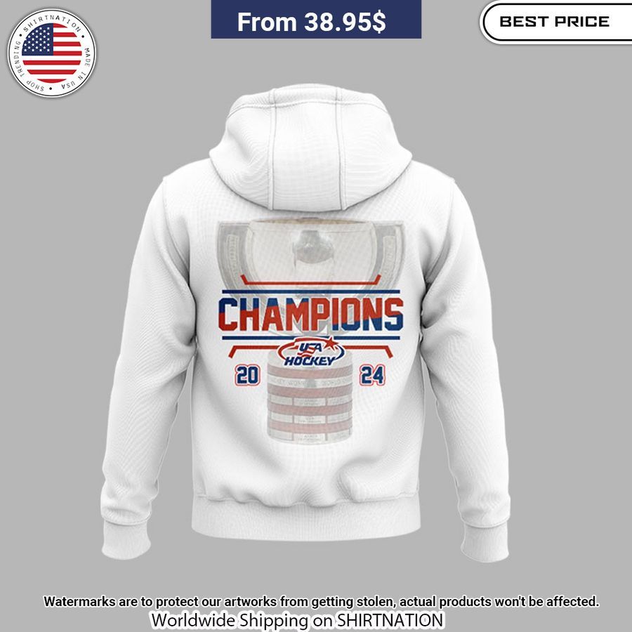 usa hockey world junior ice hockey champions 2024 hoodie 2 879.jpg